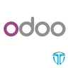 Odoo Connector